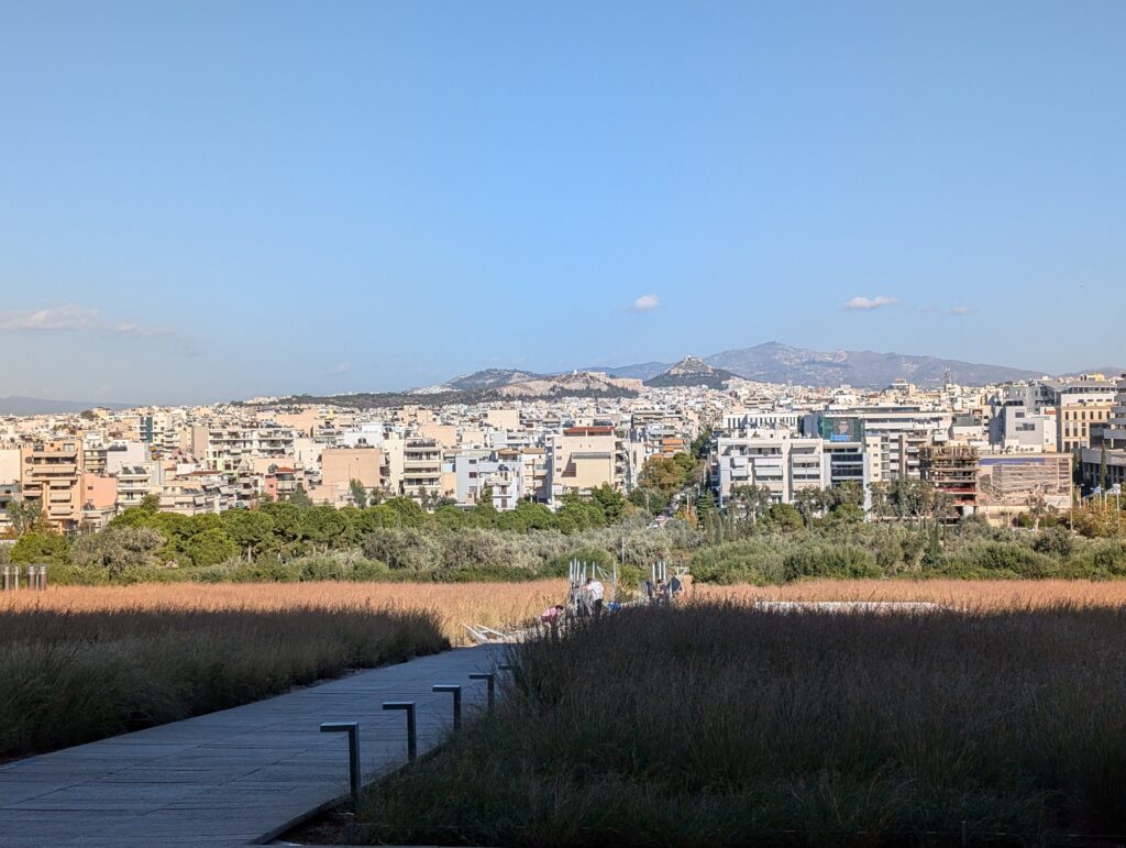 PXL_20241120_114119023